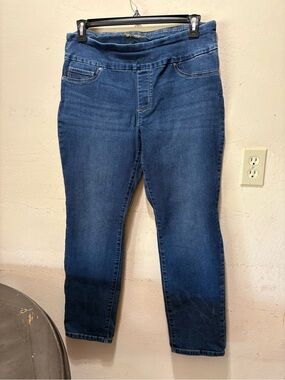 Lee Women's Medium Blue Pull-On Jeggings